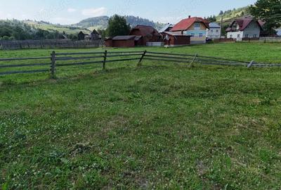 Teren de vanzare intravilan in Bucovina Breaza - 3