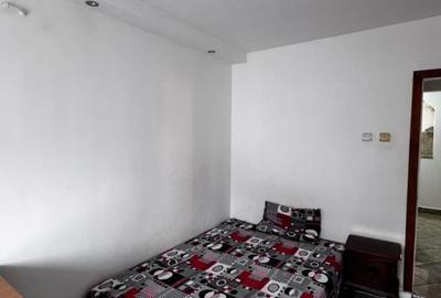 Apartament cu 3 camere decomandat, mobilat în Lăpuș Argeș - 4