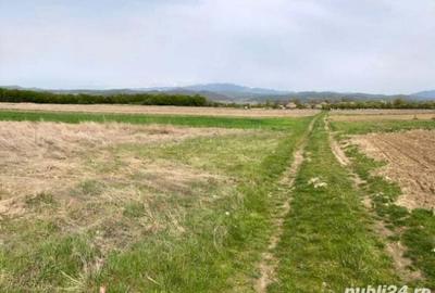 Teren de 3700 mp, în Bârsești (Budești)