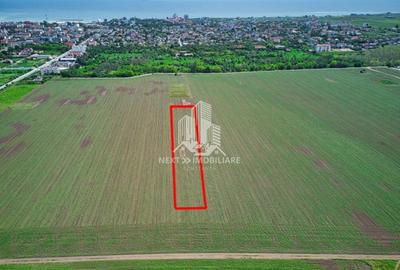 Teren Construcții intravilan de 504 mp, în Sud - 2