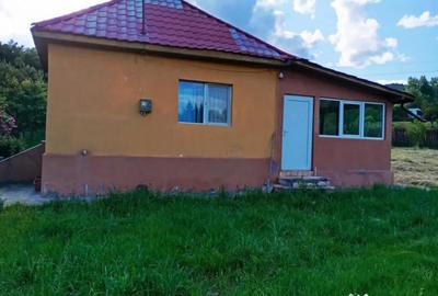 Casă cu 3 camere cu Teren 3000 Mp în Breaza - 18