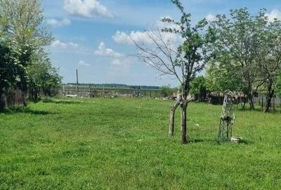 Spațiu comercial, în Ileana - 6