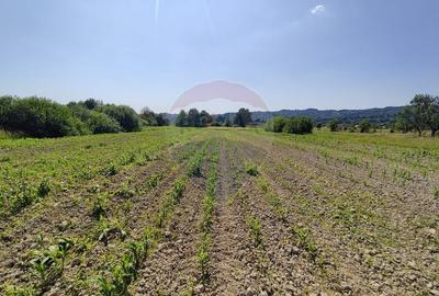 DE VANZARE - Teren intravilan Sisesti, Maramures (0% comision) - 1