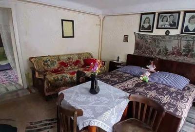 Casă cu 2 camere cu Teren 3342 Mp în Rusca - 1