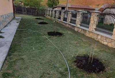 Casă cu 4 camere în Pârcovaci - 4