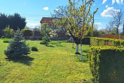 Spațiu comercial, în Golești - 4