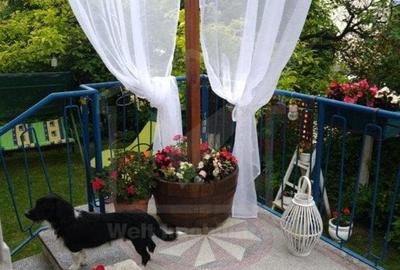 Casa de vanzare, Zorilor, 82 mp, teren 455 mp