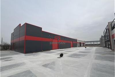 Depozit/hala/spatiu industrial/parc logistic Jilava - Giurg - 6