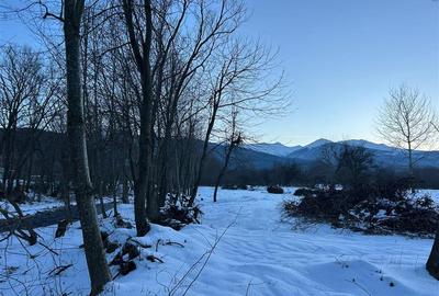 Teren Construcții intravilan de 3200 mp, în Dejani - 3