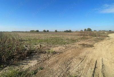 Vand teren intravilan arabil - 3