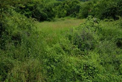 Teren de 6200 mp, în Central - 3