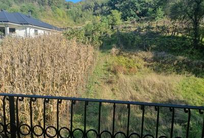 Casa Valea Budului , priveliste deosebita spre padure. - 19