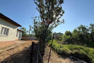 Casa de vanzare Almaj , sat Bogea  4505 mp teren- Negociabil - 15