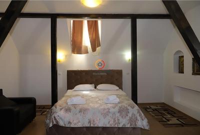 Hotel/Pensiune, în Baia de Fier - 10