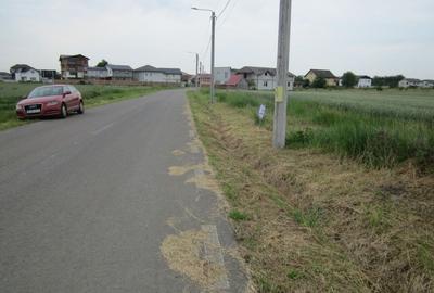 Domnesti-Narciselor - 17