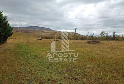 Teren 3800 Mp Ghioroc cu Utilitati - 3