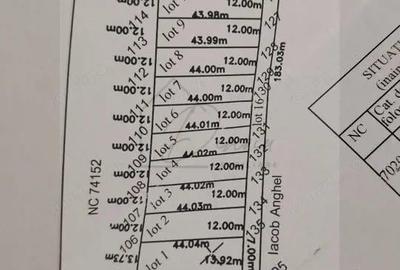Teren intravilan Ciocanesti Cretu - 9282 mp divizat in 15 loturi - 3