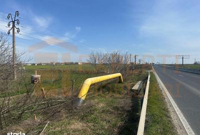 Spațiu comercial, în Valu lui Traian - 8