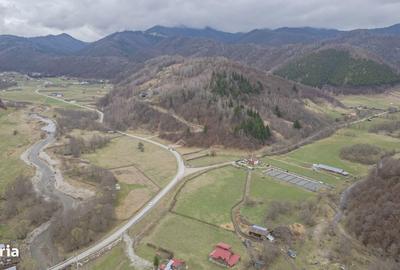 Spațiu comercial, în Plaiul Foii - 3