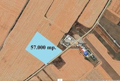 Mihailesti, cu deschidere de 200 m. la DN 6, 57.500 mp. teren cu PUZ aprobat - 5