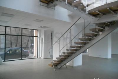 Spațiu comercial, de 766 mp, în Victoriei - 2