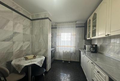 VIGAFON - Apartament 3 camere Paltinis - 8