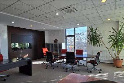 Spațiu comercial, de 367 mp, în Timpuri Noi - 6