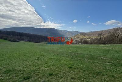 Teren de vanzare pentru cabana langa padure - 4
