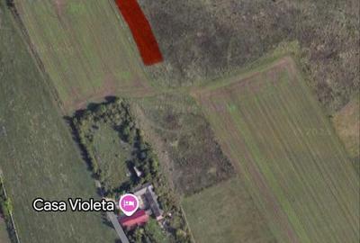 Spațiu comercial, în Brazi - 1