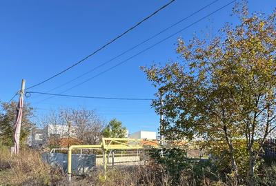 Teren Construcții intravilan de 16299 mp, în Tunari - 8