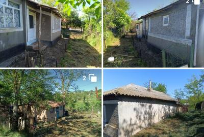 Casă cu 2 camere în Independența - 2