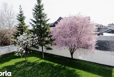 Casă cu 6 camere cu Teren 1000 Mp în Băneasa - 14