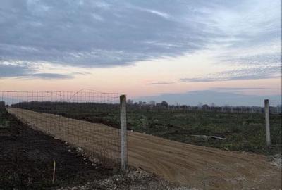 Spațiu comercial, în Păușa - 6