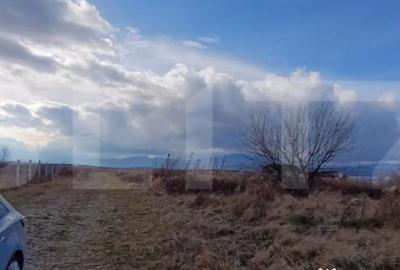 Teren de 1205 mp, în Zărnești - 4