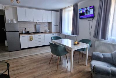 Apartament cu 2 camere semidecomandat în Ultracentral - 8