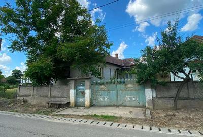 Casă cu 3 camere în Burzuc - 2