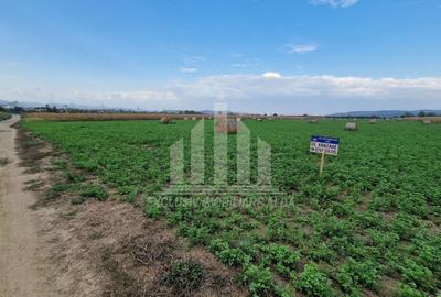 Teren Construcții intravilan de 17300 mp, în Sud - 3