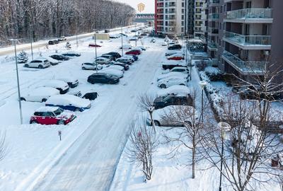 Apartament cu curte proprie si 2 parcari, de inchiriat in Adora Forest - 3