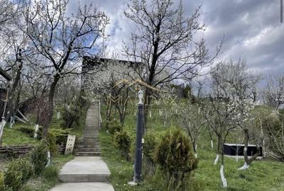 Casa de vacanta**Panorama spectaculoasa//Provita de Jos_Prahova - 1