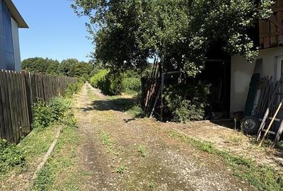 Casă cu 4 camere în Râu Bărbat - 4