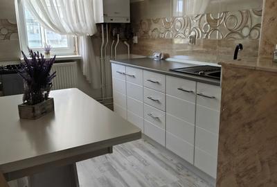 Apartament cu 2 camere semidecomandat în Ostroveni - 7