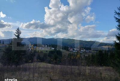 Teren de 10000 mp, în Dorna-Arini - 1