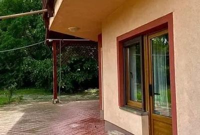 VILĂ  cu 5 camere, pădure , baltă și teren Isvoarele, Giurgiu - 3