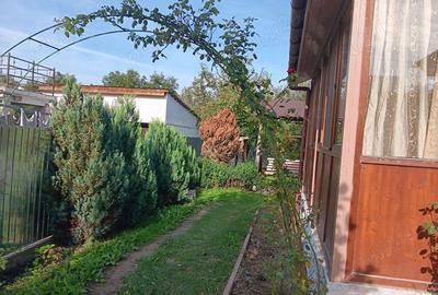 Casă cu Teren 500 Mp în Moinești - 5