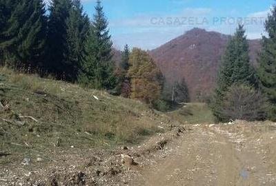 Teren in suprafata de 11 310  mp situat in Rasnov, Paraul Rece - 7