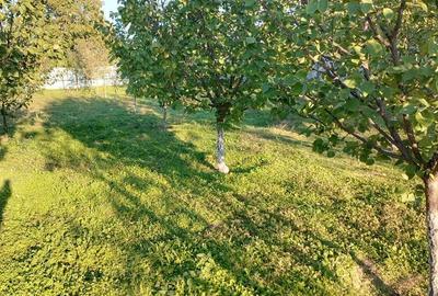 Casă cu 5 camere în Umbrărești - 4