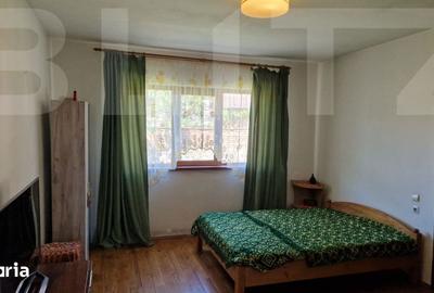 Casă cu 4 camere cu Teren 3166 Mp în Burjuc - 7