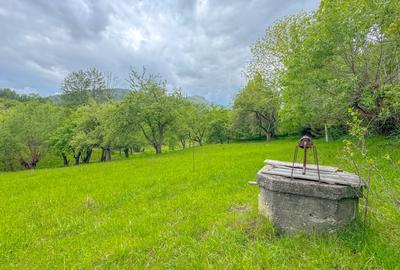 Teren 1500mp, intravilan cu utilitati, in proximitatea complexului Vila Bran - 4