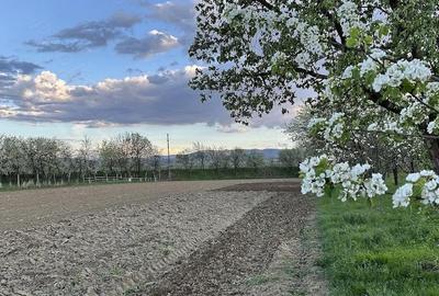 Teren de 1200 mp, în Blandiana