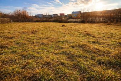 Teren 1262 m2 intravilan Smeura Stoenari - 2